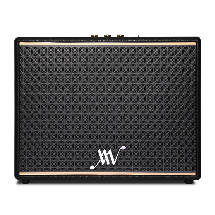 Loa Bluetooth Retro Alpha Works Classic V100 - Chính hãng PGI