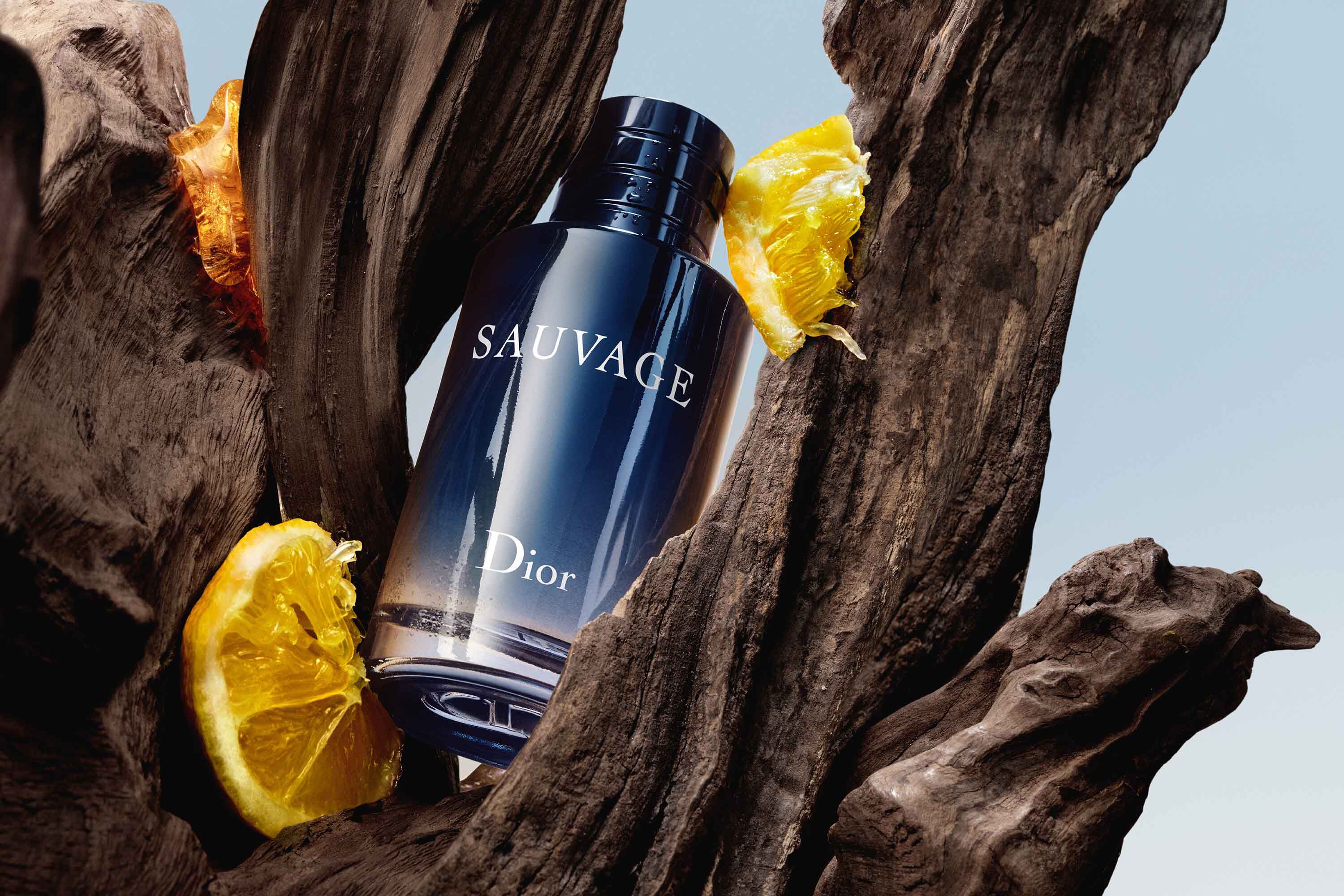 Nước Hoa Nam Dior Sauvage Eau De Toilette Refill (EDT) - Chính Hãng