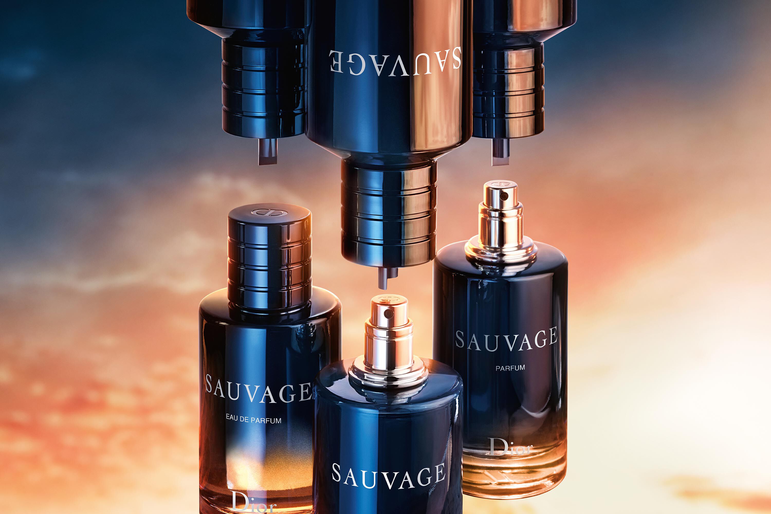 Nước Hoa Nam Dior Sauvage Eau De Toilette Refill (EDT) - Chính Hãng
